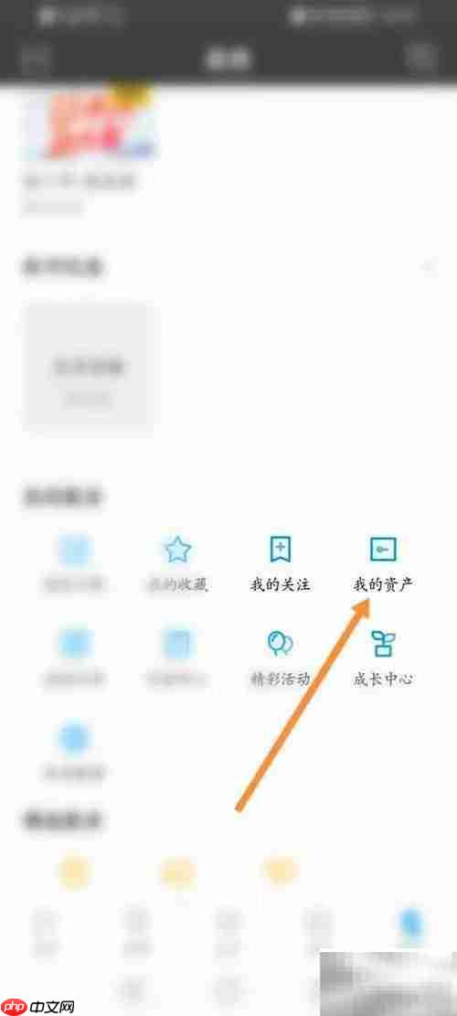 PP视频影视卡充值指南