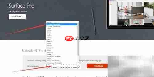下载.NET Framework详细教程