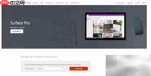下载.NET Framework详细教程