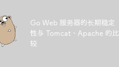 Tomcat 및 Apache와 GO 웹 서버의 장기 안정성 비교