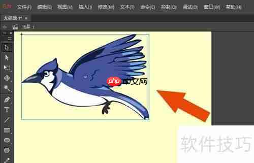 Animate2018矢量图转换技巧