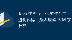 Java 中的 .class 文件與二進制代碼:深入理解 JVM 字節(jié)碼