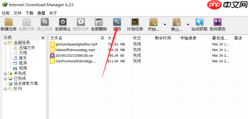 IDM下载器看视频总是自动跳出下载对话框怎么办