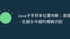 Java Substring Position Penghakiman: Pengenalpastian Awalan, akhiran dan infix yang tepat