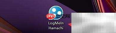 LogMeIn Hamachi流量過(guò)濾設(shè)置