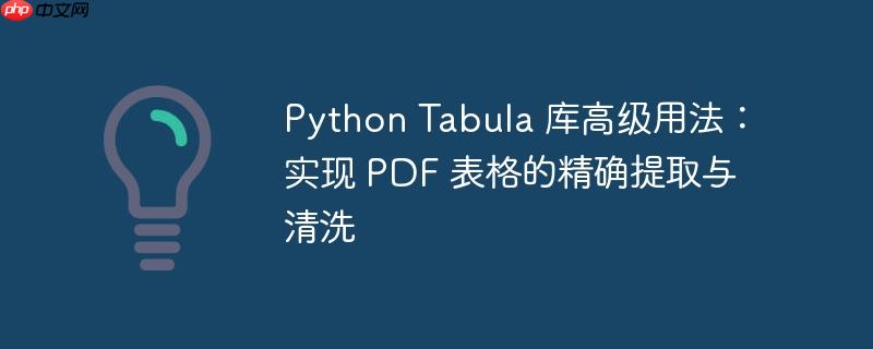 Python Tabula 库高级用法：实现 PDF 表格的精确提取与清洗
