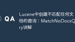Buat pertanyaan di Lucene yang tidak sepadan