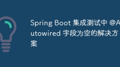 Penyelesaian untuk mengosongkan medan @Autowired pada ujian integrasi boot musim bunga