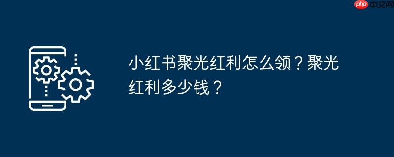 小红书聚光红利怎么领?聚光红利多少钱?