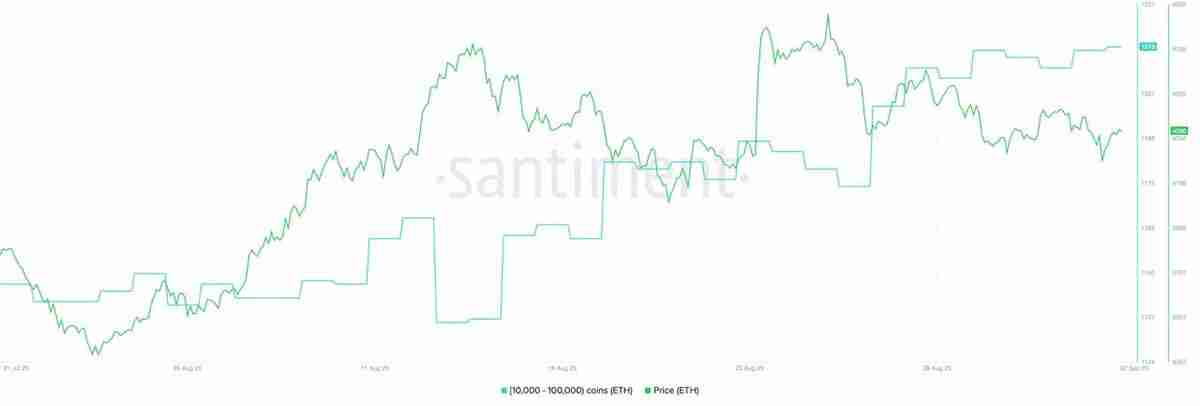 以太坊巨鲸狂扫26万枚ETH，重燃5000美元复苏预期