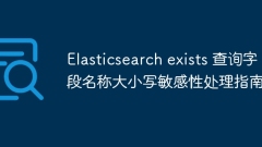 Elasticsearch ada Panduan Pemprosesan Kepekaan Nama Medan Pertanyaan