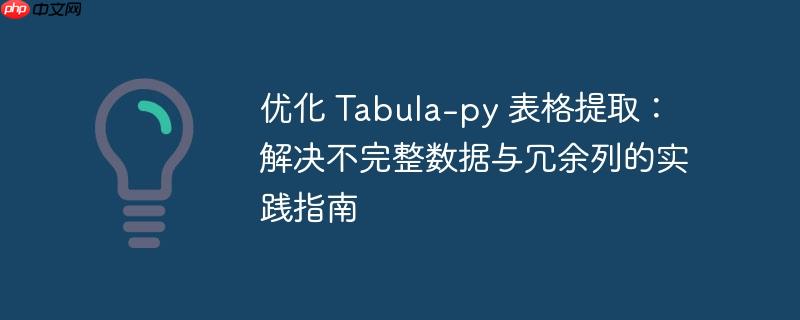 优化 Tabula-py 表格提取：解决不完整数据与冗余列的实践指南
