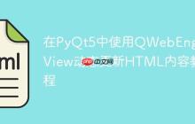 在PyQt5中使用QWebEngineView动态更新HTML内容教程
