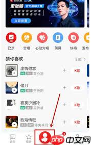 全民k歌怎么快唱