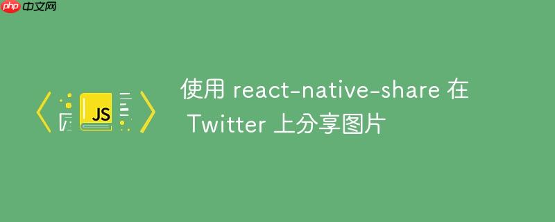 使用 react-native-share 在 Twitter 上分享图片