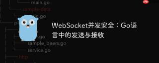 websocket并发安全:go语言中的发送与接收