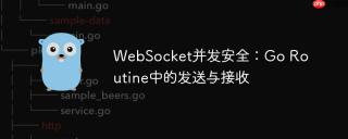WebSocket并发安全：Go Routine中的发送与接收