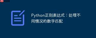 Python正则表达式：处理不同情况的数字匹配