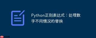 Python正则表达式：处理数字不同情况的替换