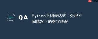 Python正则表达式：处理不同情况下的数字匹配