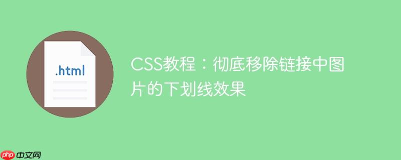 CSS教程:彻底移除链接中图片的下划线效果