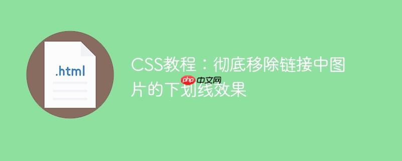 CSS教程:彻底移除链接中图片的下划线效果