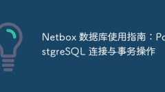 Panduan Pengguna Pangkalan Data NetBox: Sambungan dan Operasi Transaksi PostgreSQL