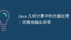 Java 幾何計算中的負值處理:優(yōu)雅地拋出異常