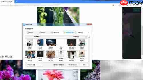 遨游浏览器资源嗅探器使用指南