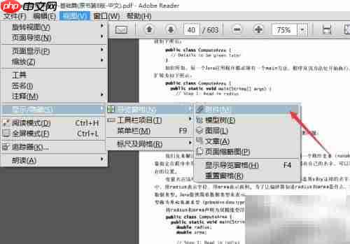 Adobe Reader打开附件栏方法