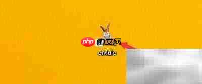 emule启动自动连接设置