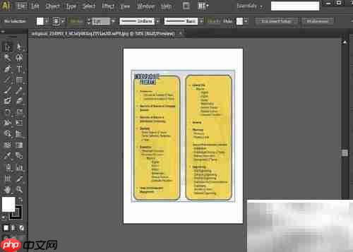 AI入门：快速掌握Illustrator