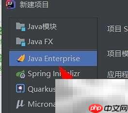 IntelliJ设置Java企业版无SDK
