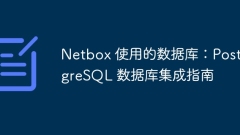 Netbox 使用的數(shù)據(jù)庫:PostgreSQL 數(shù)據(jù)庫集成指南