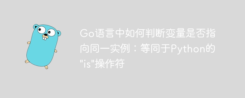 How to determine whether a variable points to the same instance in Go language: 'is' operator equivalent to Python