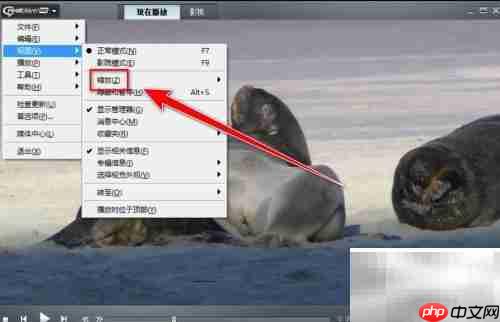 RealPlayer视频放大技巧