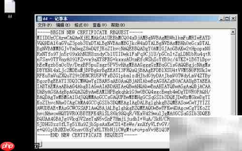 Web服务器证书申请指南