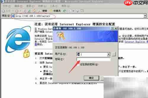 Web服务器证书申请指南
