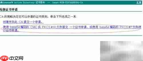 Web服务器证书申请指南