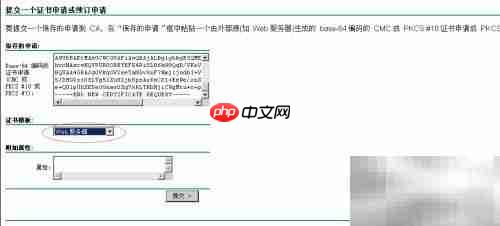 Web服务器证书申请指南