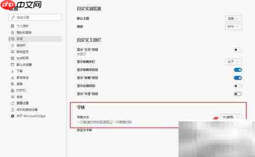 Edge浏览器字体大小设置