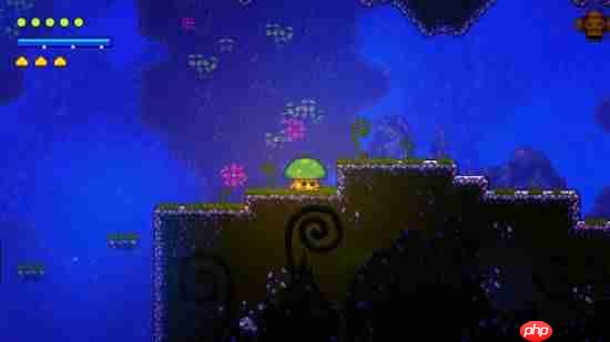 类银河战士恶魔城开发商谈《空洞骑士：丝之歌》定价：我们负担不起定这么低