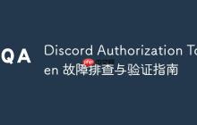 Discord Authorization Token 故障排查与验证指南