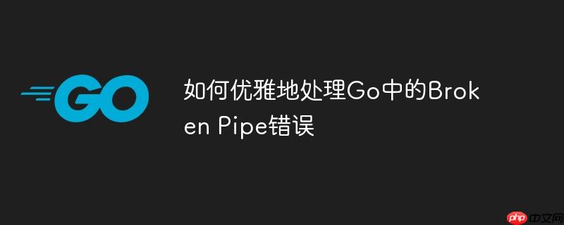 如何优雅地处理Go中的Broken Pipe错误