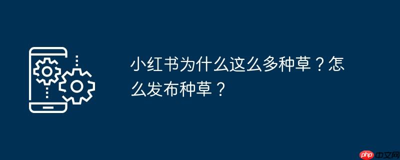 小红书为什么这么多种草？怎么发布种草？
