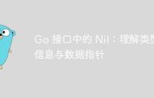 Go 接口中的 Nil：理解类型信息与数据指针