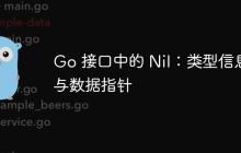 Go 接口中的 Nil：类型信息与数据指针