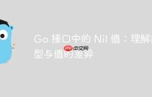 Go 接口中的 Nil 值：理解类型与值的差异