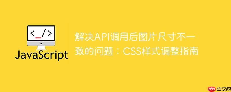 解决API调用后图片尺寸不一致的问题:CSS样式调整指南