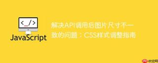 解决API调用后图片尺寸不一致的问题：CSS样式调整指南